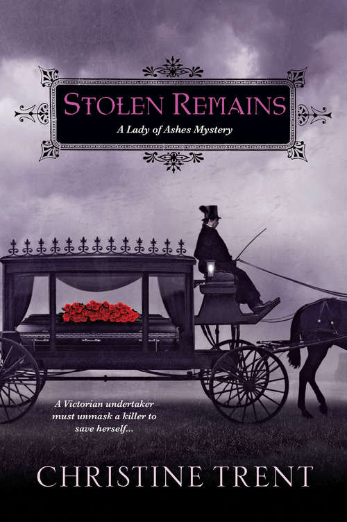 Book cover of Stolen Remains