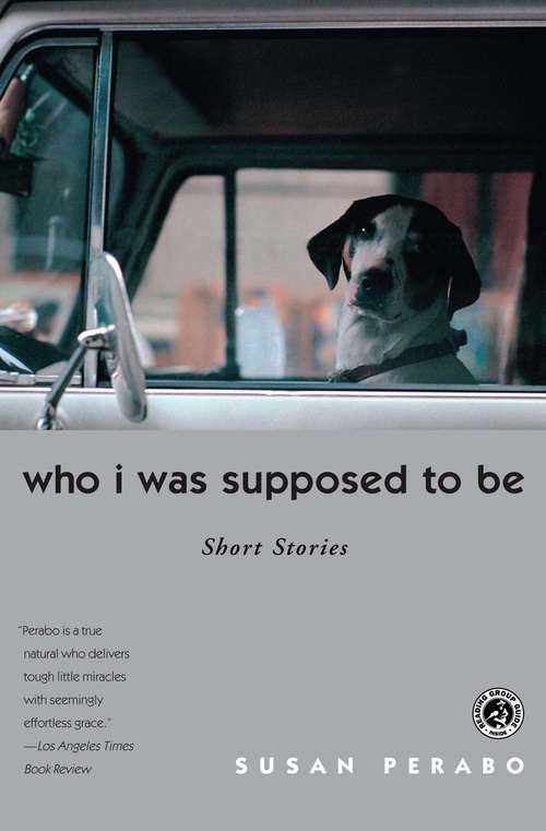 Book cover of Who I was Supposed To Be