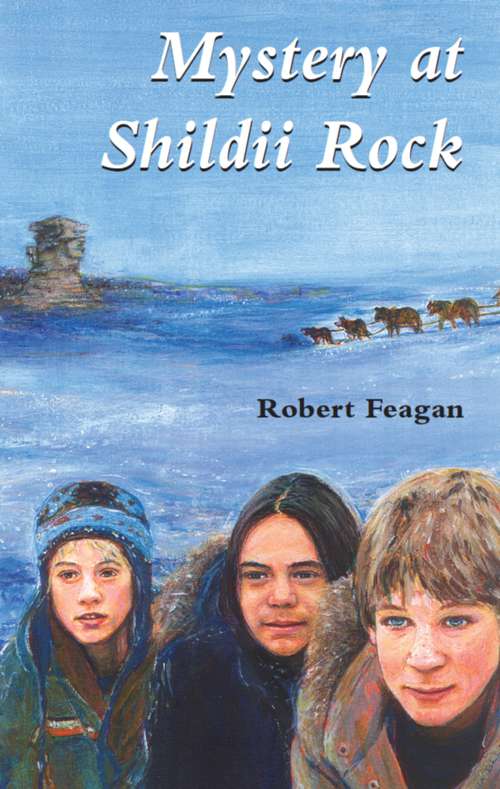 Book cover of Mystery at Shildii Rock