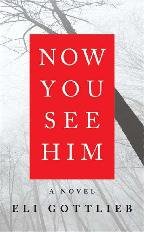 Book cover of Now You See Him