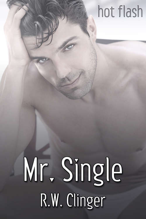 Book cover of Mr. Single