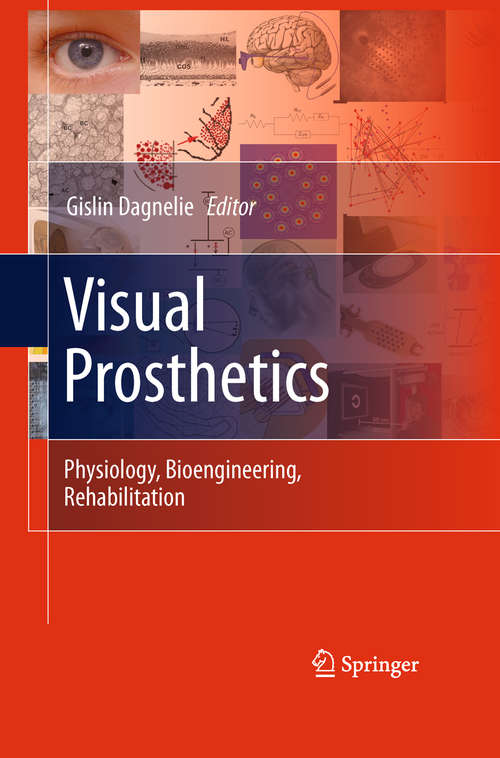 Book cover of Visual Prosthetics