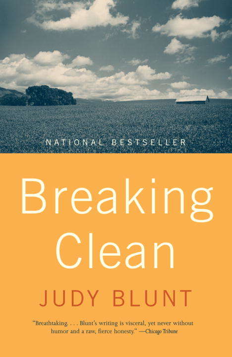 Book cover of Breaking Clean