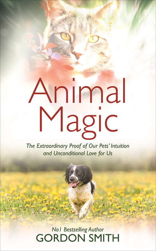 Book cover of Animal Magic: The Extraordinary Proof of Our Pets' Intuition and Unconditional Love for Us