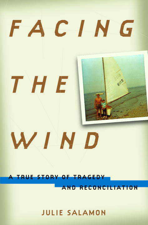 Book cover of Facing the Wind