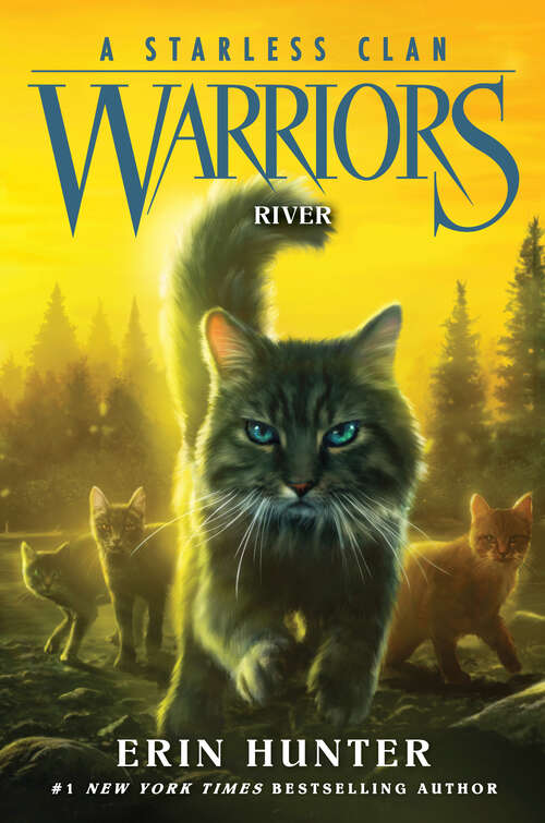 Book cover of River (Warriors: A Starless Clan #1)