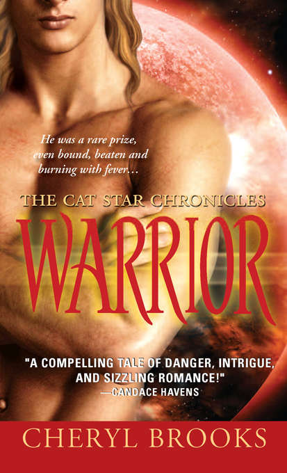 Book cover of Warrior