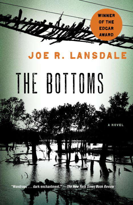 Book cover of The Bottoms