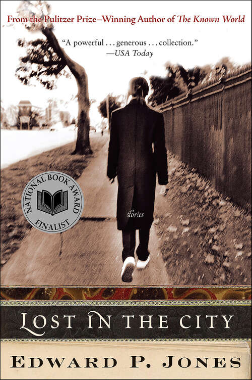 Book cover of Lost in the City: Stories (20)