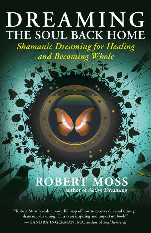 Book cover of Dreaming the Soul Back Home