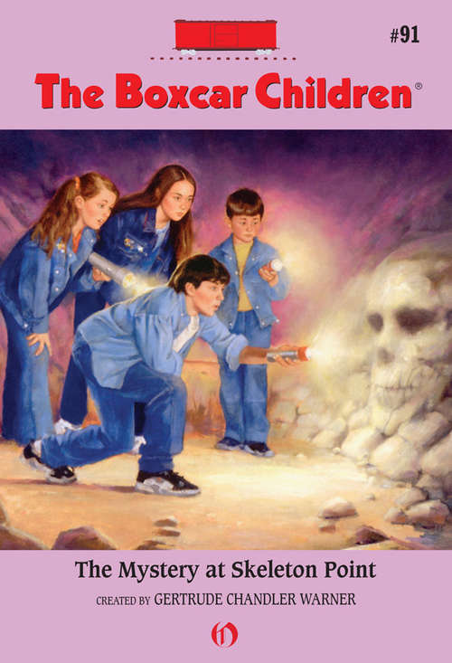 Book cover of The Mystery at Skeleton Point (Boxcar Children #91)