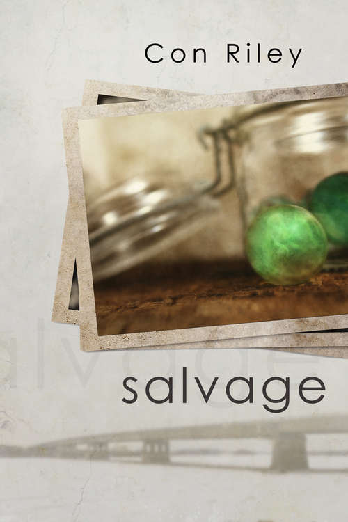 Book cover of Salvage