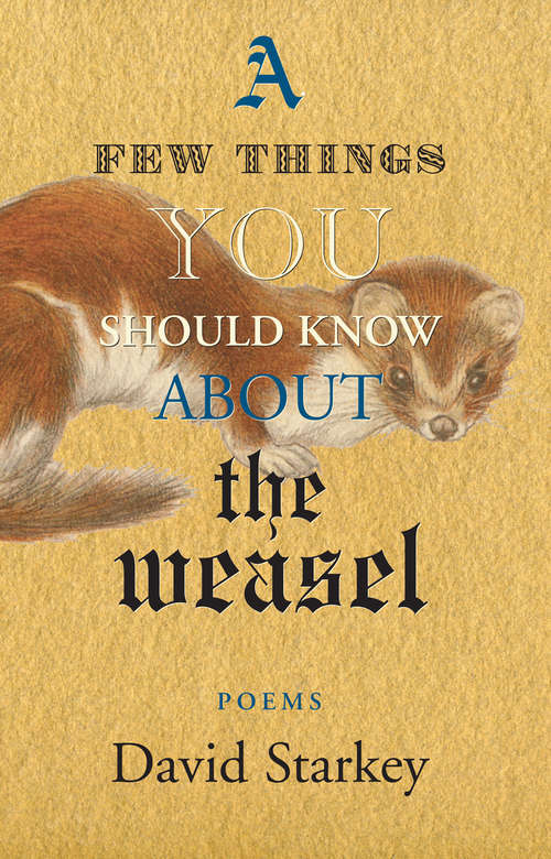 Book cover of A Few Things You Should Know About the Weasel