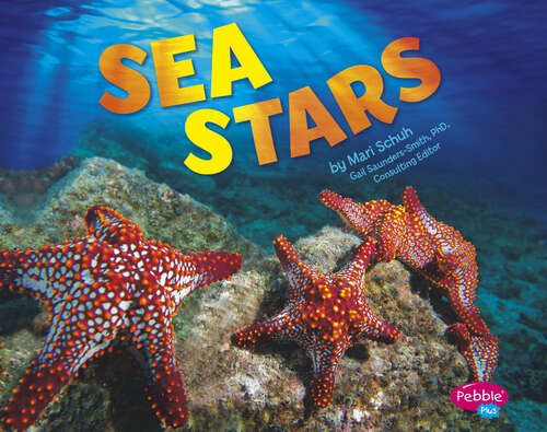 Book cover of Sea Stars (Spot Ocean Animals Ser.)