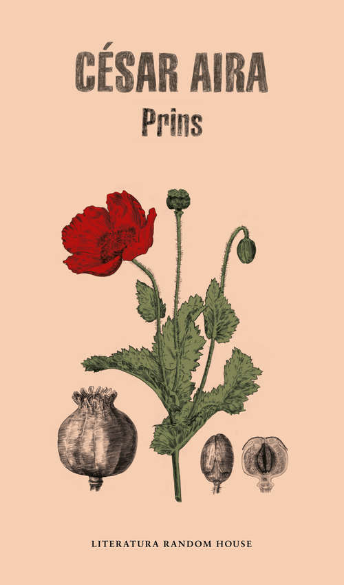 Book cover of Prins