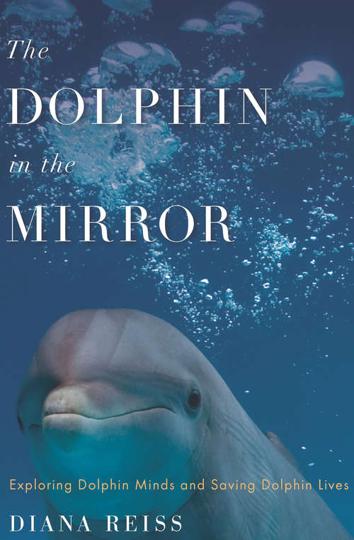 Book cover of The Dolphin in the Mirror