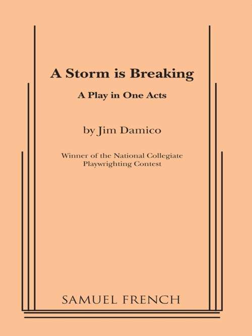 Book cover of Storm is Breaking