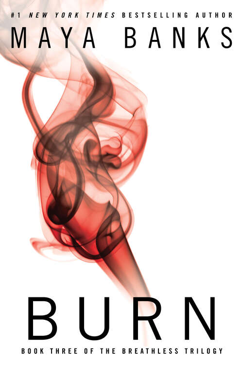 Book cover of Burn