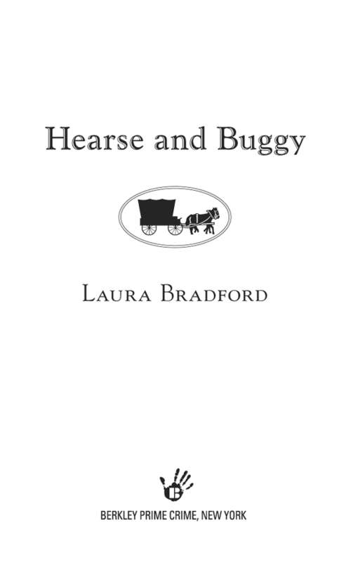 Book cover of Hearse and Buggy (An Amish Mystery #1)