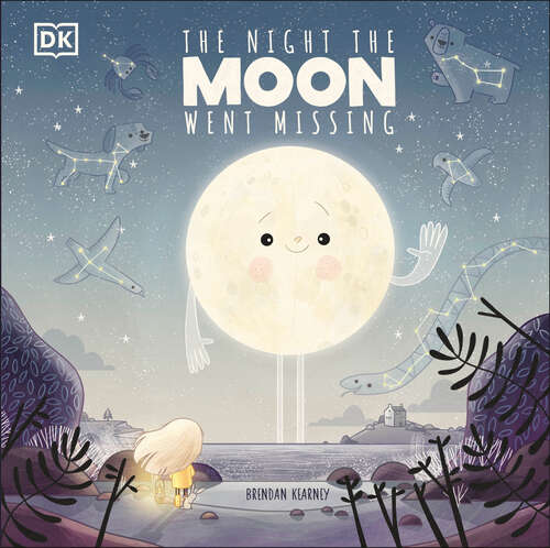 Book cover of The Night The Moon Went Missing