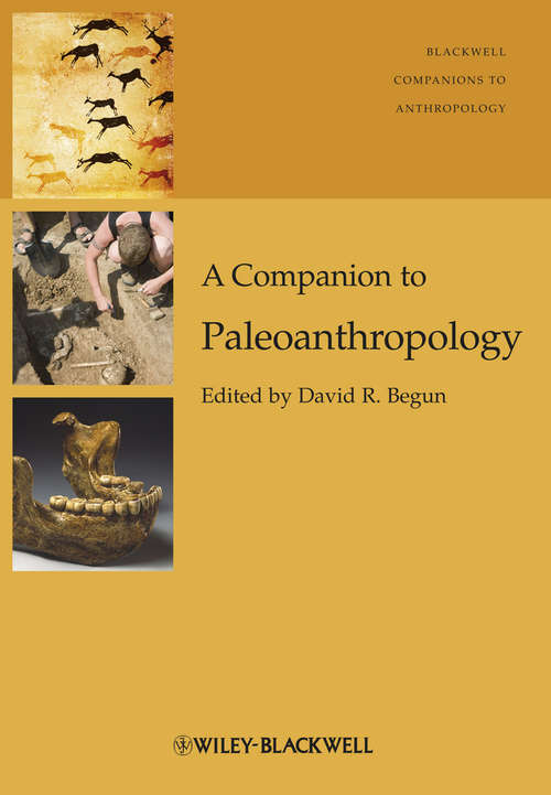 Book cover of A Companion to Paleoanthropology