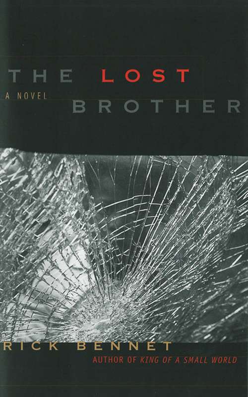 Book cover of The Lost Brother: A Novel