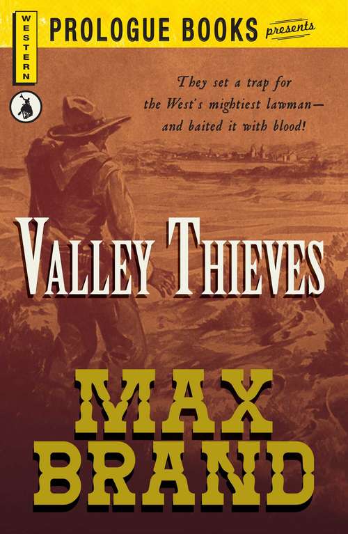 Book cover of Valley Thieves