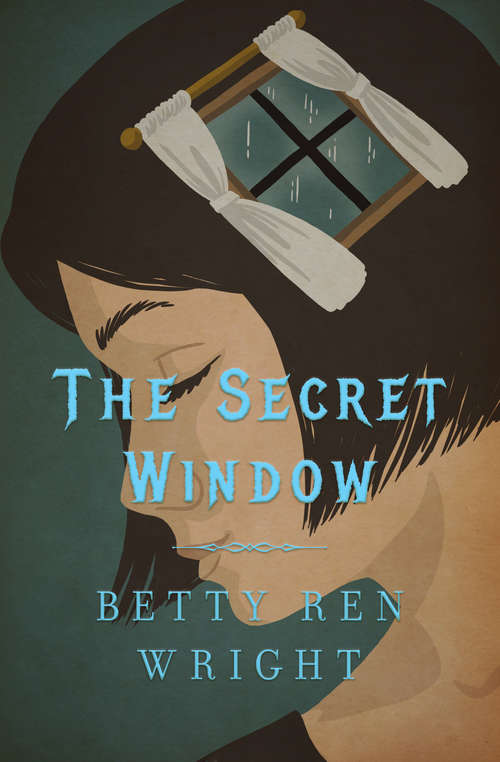 Book cover of The Secret Window