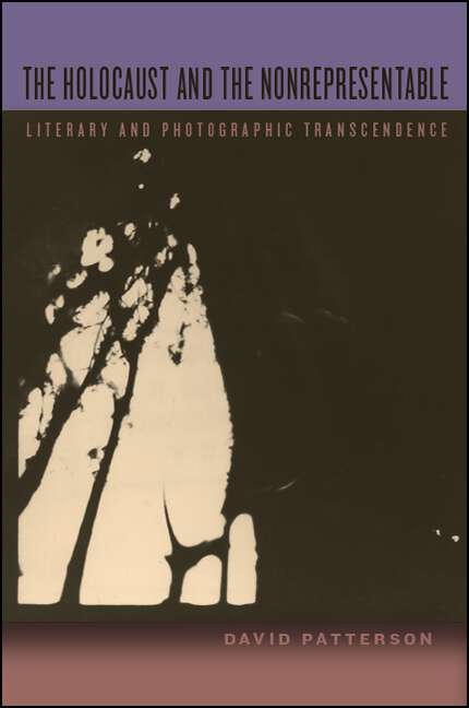 Book cover of The Holocaust and the Nonrepresentable: Literary and Photographic Transcendence (SUNY series in Contemporary Jewish Thought)