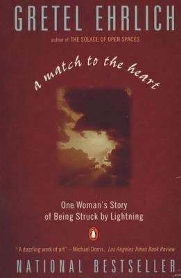Book cover of A Match to the Heart: One Woman's Story of Being Struck By Lightning
