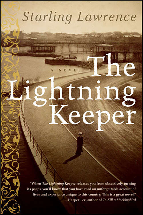 Book cover of The Lightning Keeper: A Novel