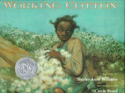 Book cover of Working Cotton