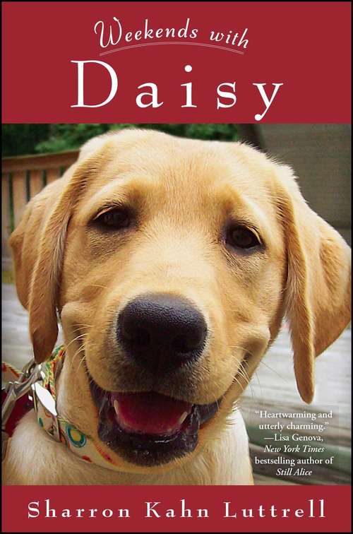 Book cover of Weekends with Daisy