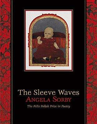 Book cover of The Sleeve Waves