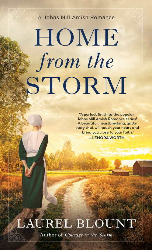 Book cover of Home from the Storm (A Johns Mill Amish Romance #4)
