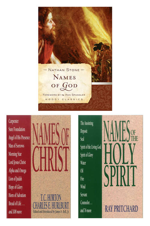 Book cover of Names of God/Names of Christ/Names of the Holy Spirit Set (New Edition)