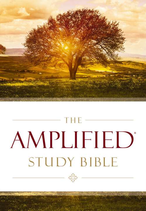 Book cover of The Amplified Study Bible