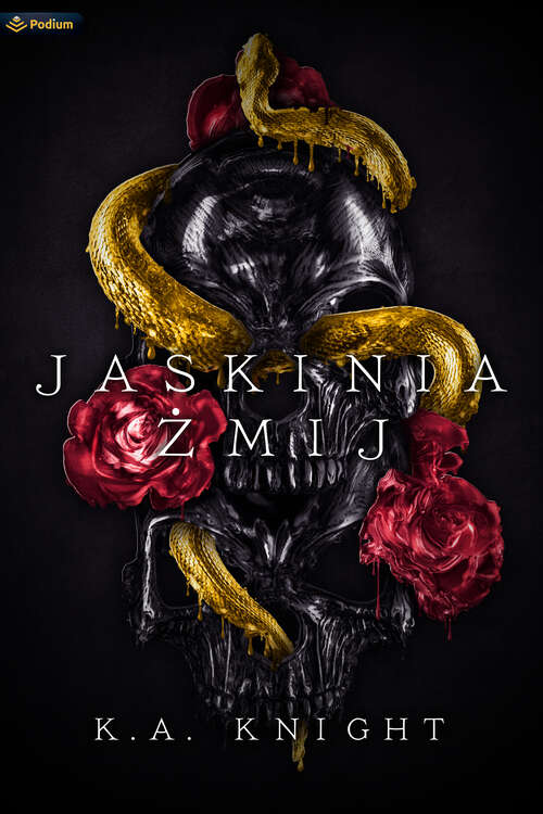 Book cover of Jaskinia _mij