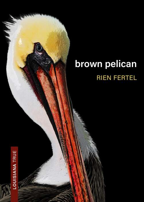 Book cover of Brown Pelican (Louisiana True)