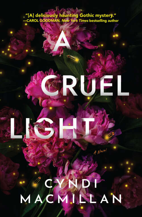 Book cover of A Cruel Light: A Novel