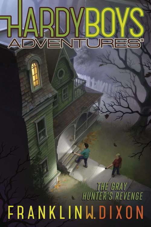 Book cover of The Gray Hunter's Revenge (Hardy Boys Adventures #17)