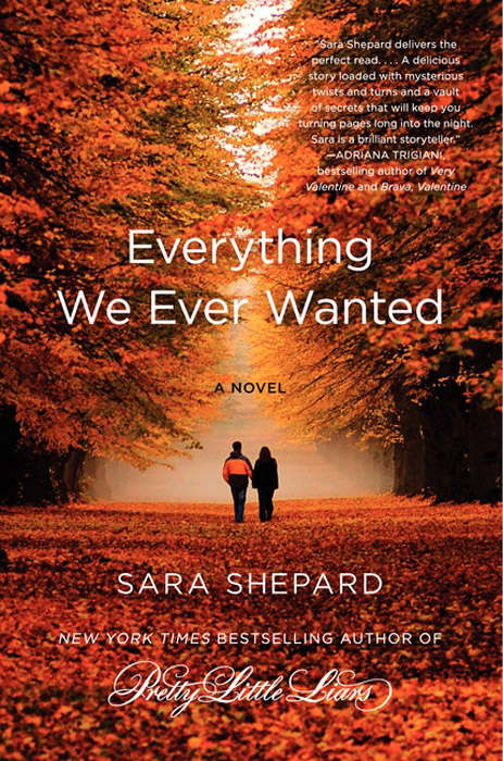 Book cover of Everything We Ever Wanted