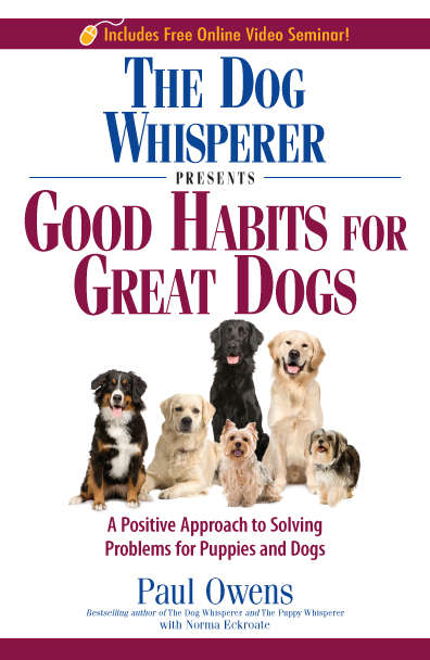 The Dog Whisperer Presents Good Habits for Great Dogs: A Positive Approach to Solving Problems for Puppies and Dogs