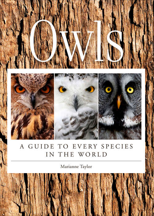 Book cover of Owls: A Guide to Every Species in the World