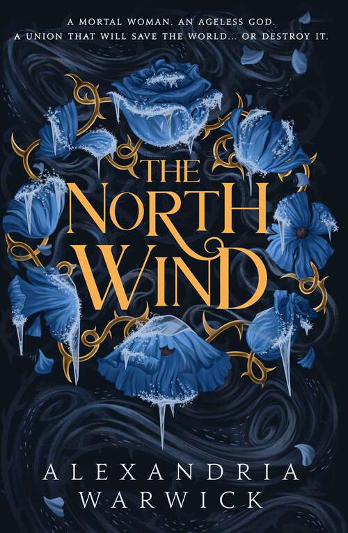 Book cover of The North Wind: The TikTok sensation! An enthralling enemies-to-lovers romantasy, the first in the Four Winds series (The Four Winds #1)