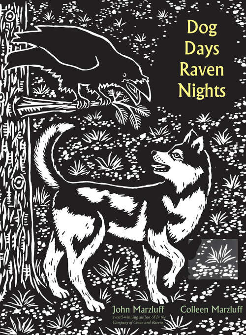 Book cover of Dog Days, Raven Nights