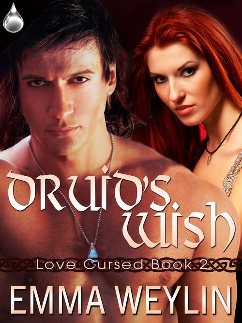 Book cover of Druid's Wish
