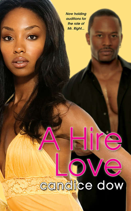 Book cover of A Hire Love
