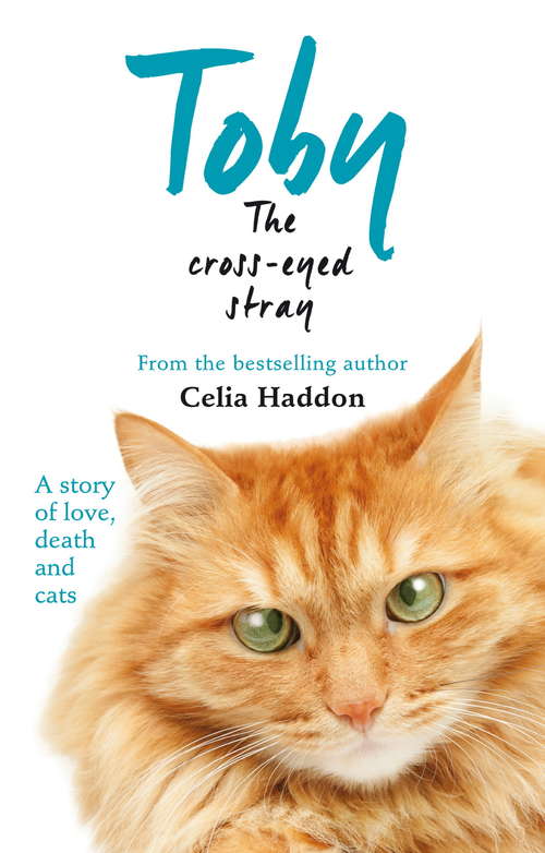 Book cover of Toby The Cross-Eyed Stray