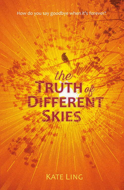 The Truth of Different Skies: Book 3 (Ventura Saga #3)